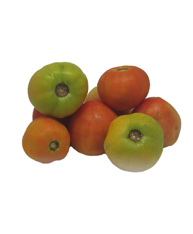 Tomates | MallHabana