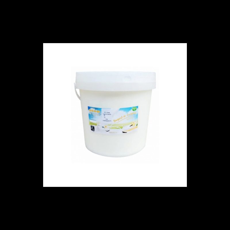 Yogurt de coágulo coco 4L | MallHabana