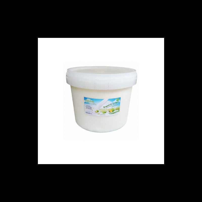 Yogurt de coágulo sabor guanábana 4L | MallHabana Yogurt de coágulo sabor guanábana 4L | MallHabana