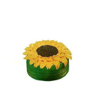 Cake girasol para 10 comensales | MallHabana